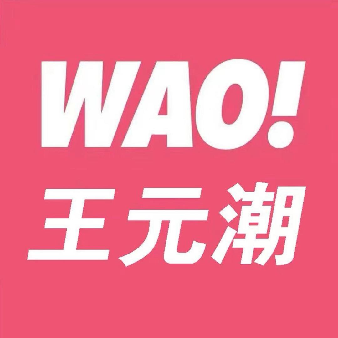 WAO娃娃·王元潮(会宁店)