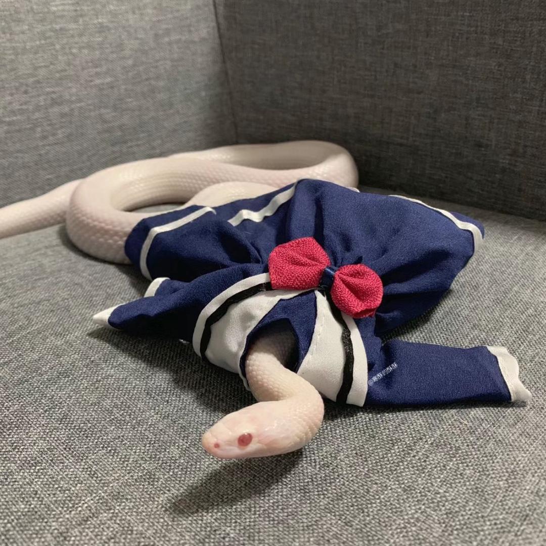 小月亮