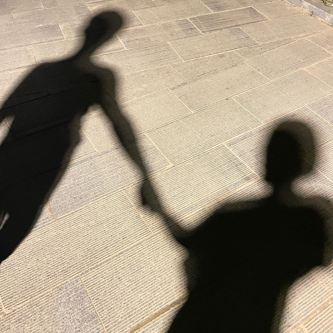 猪猪的理想生活