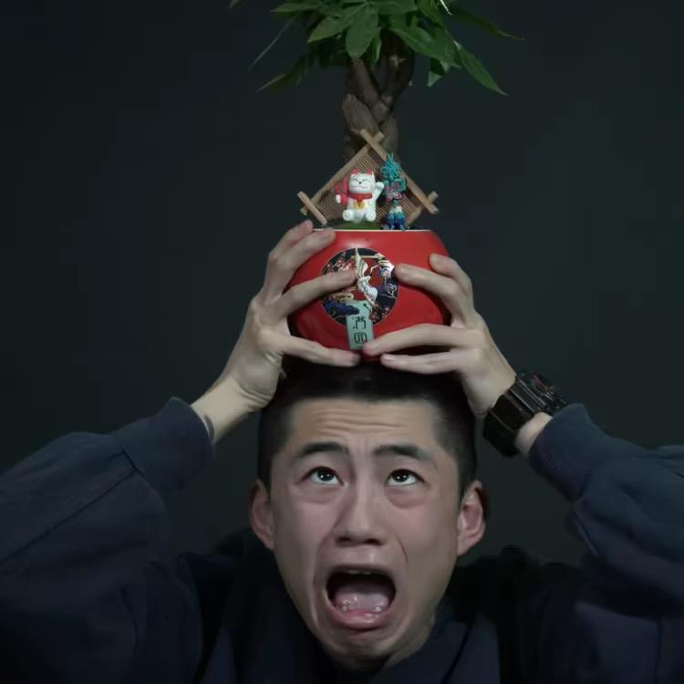 菜大P