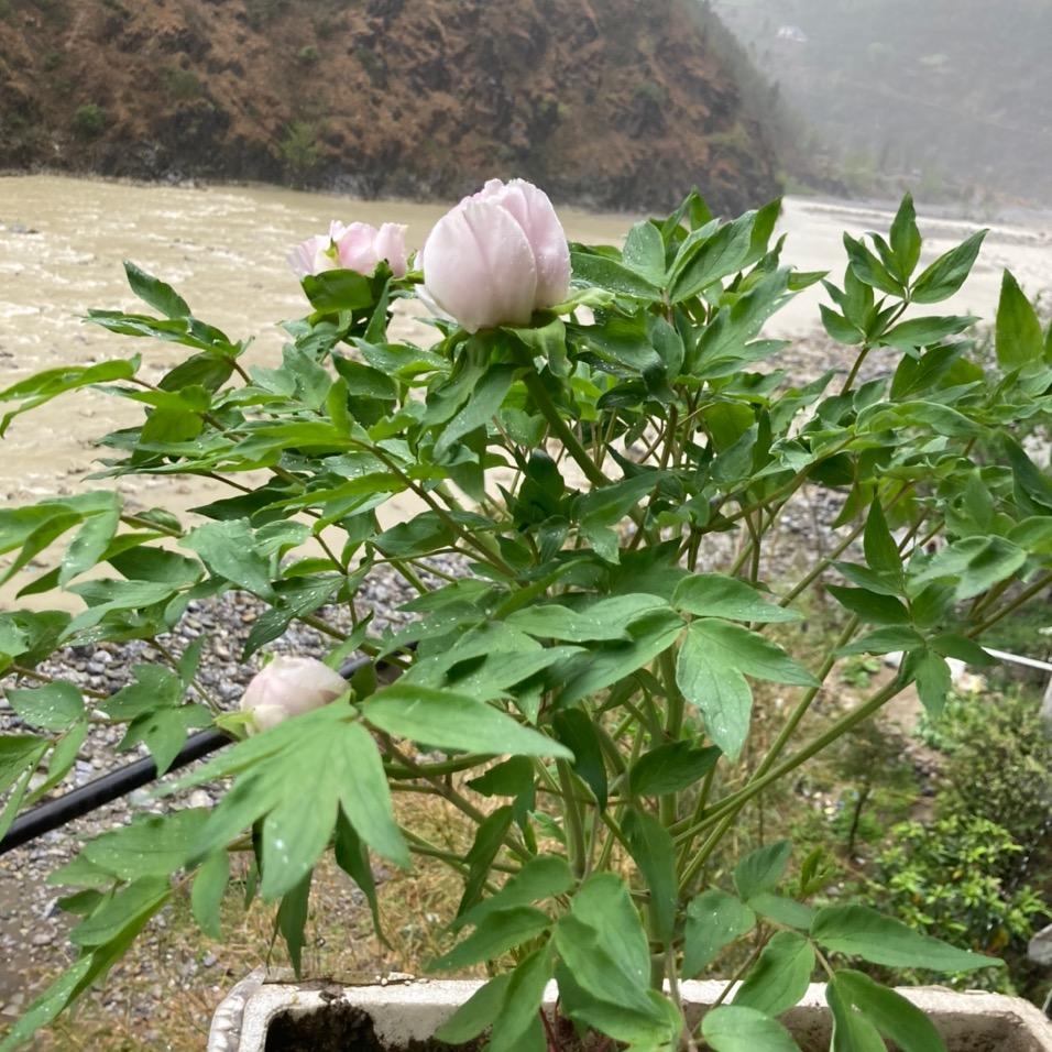 刘永兵