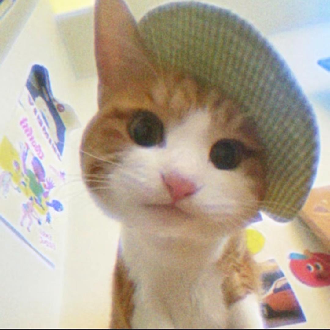 小猪包