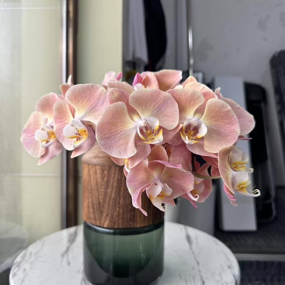 ᝰꫛꫀ好运ོ常在