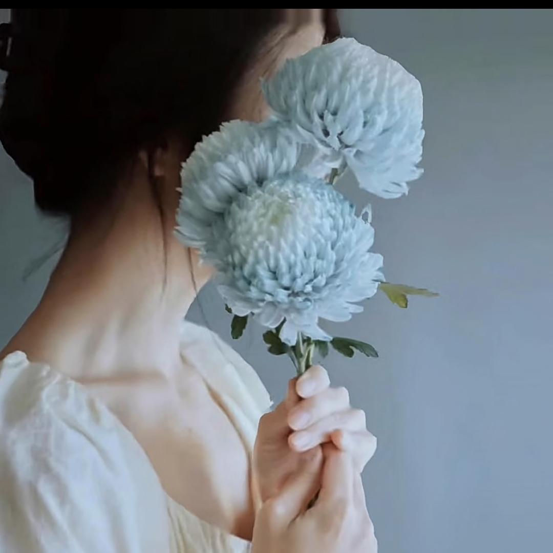 爱吃肉的兔子🐰