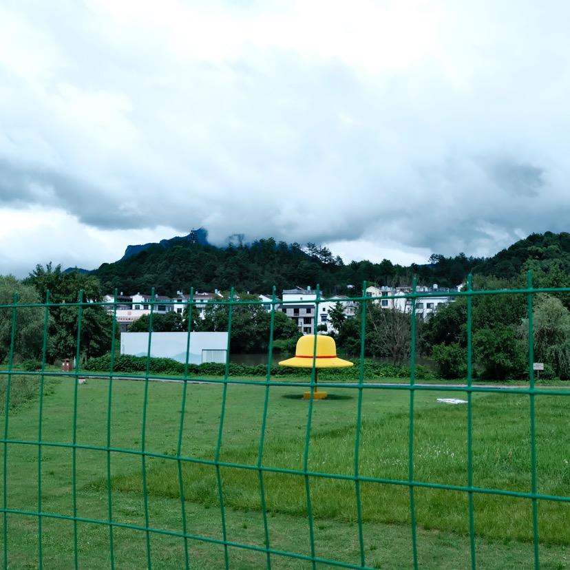 抛金