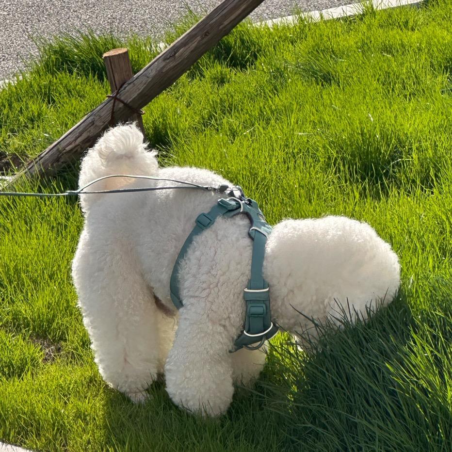 进宝今天干嘛了☁️