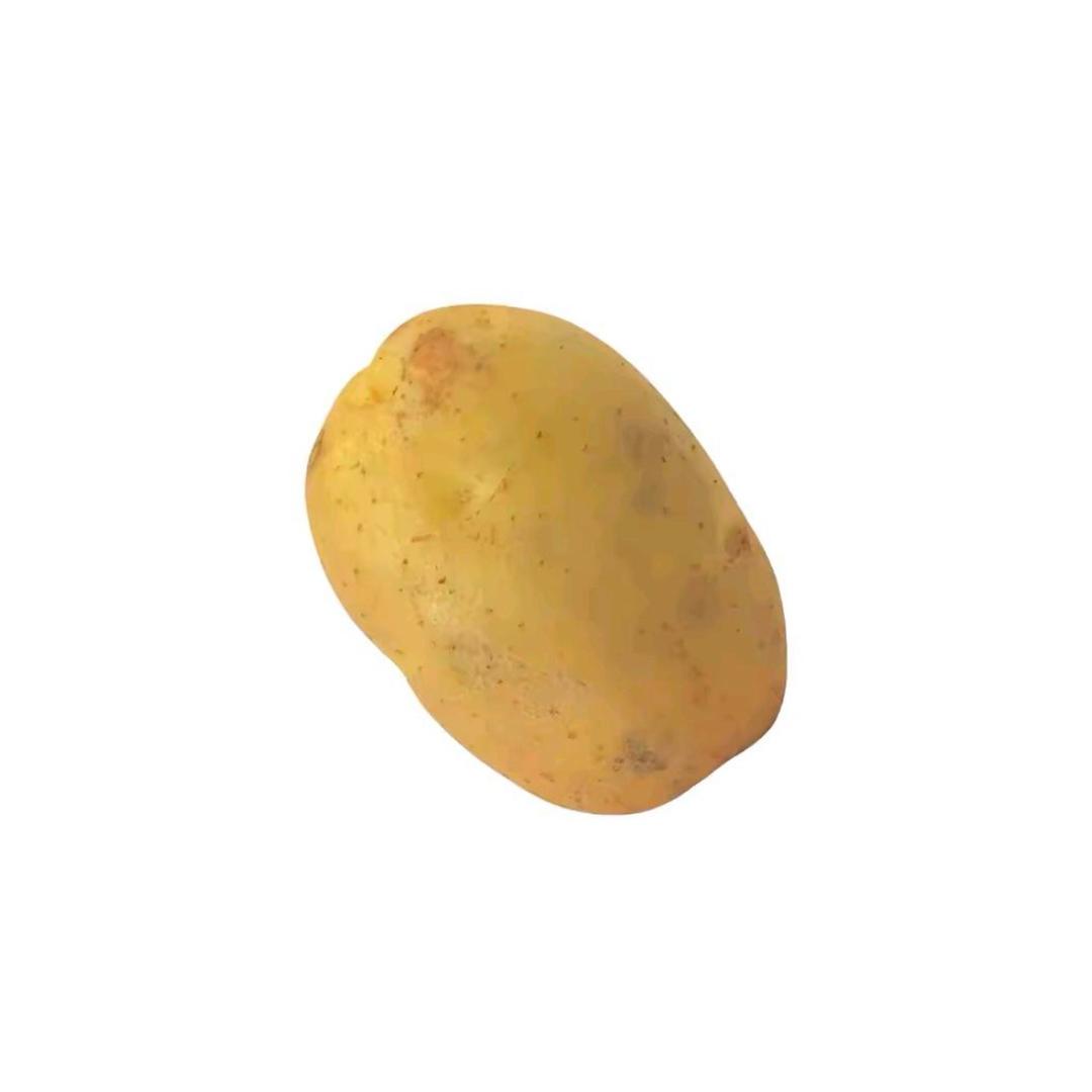 土豆