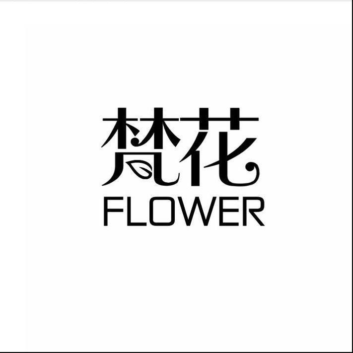梵花-精品绿植盆栽