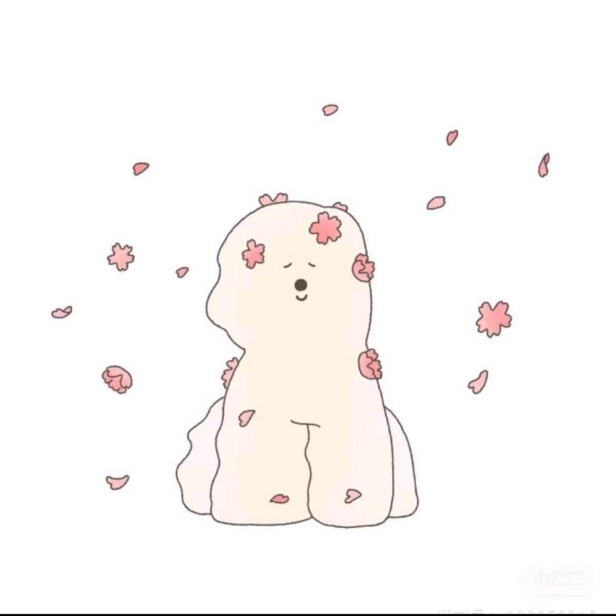 沐沐