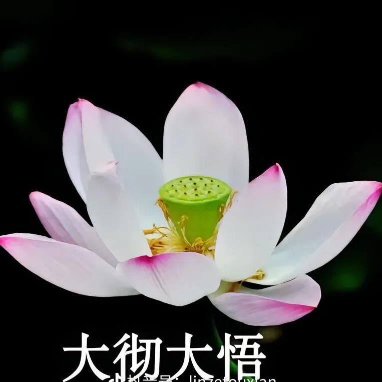 海洋