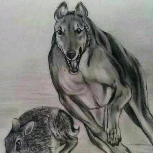 苦咖啡