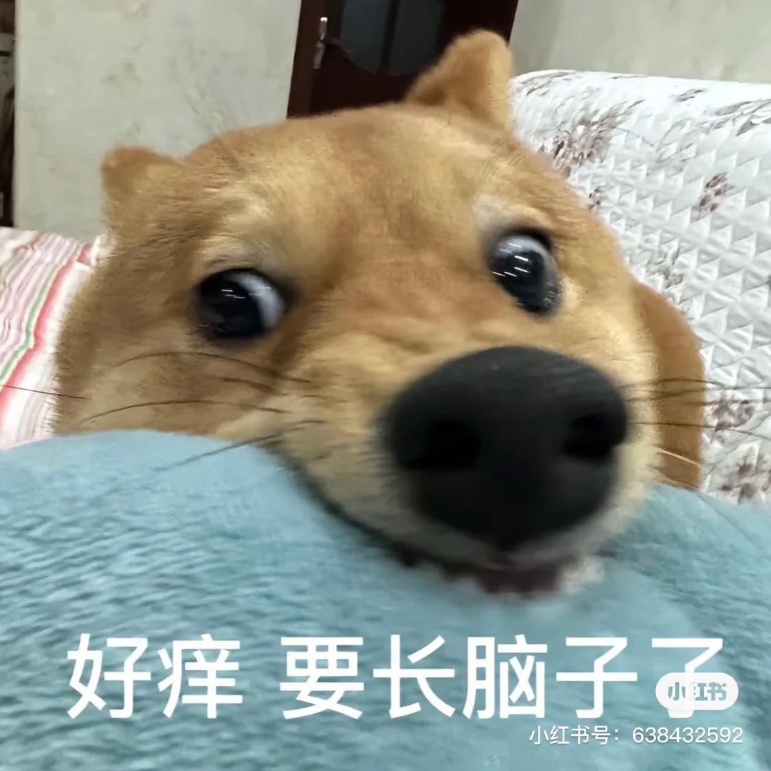 小小激杨君