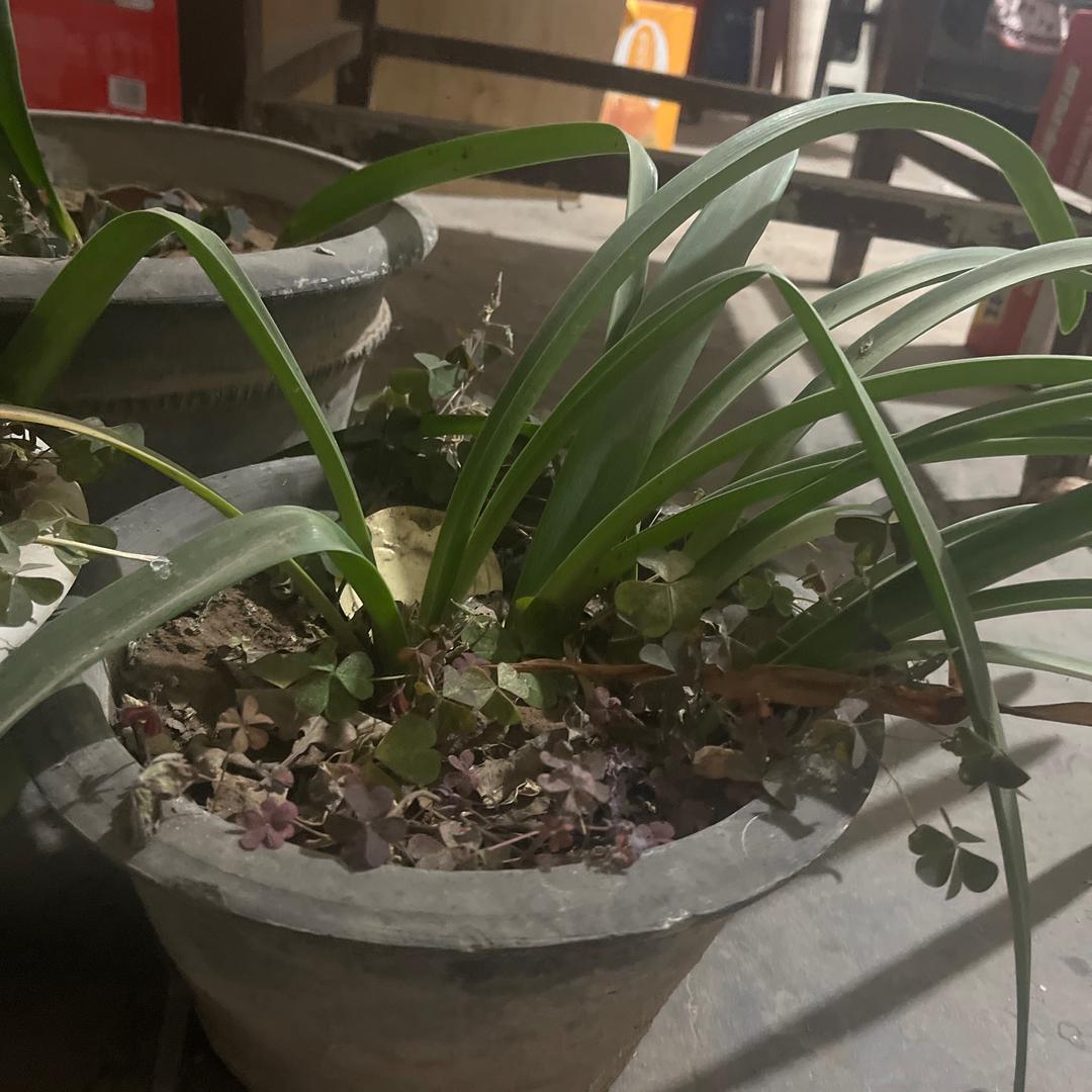 赵总鉴定