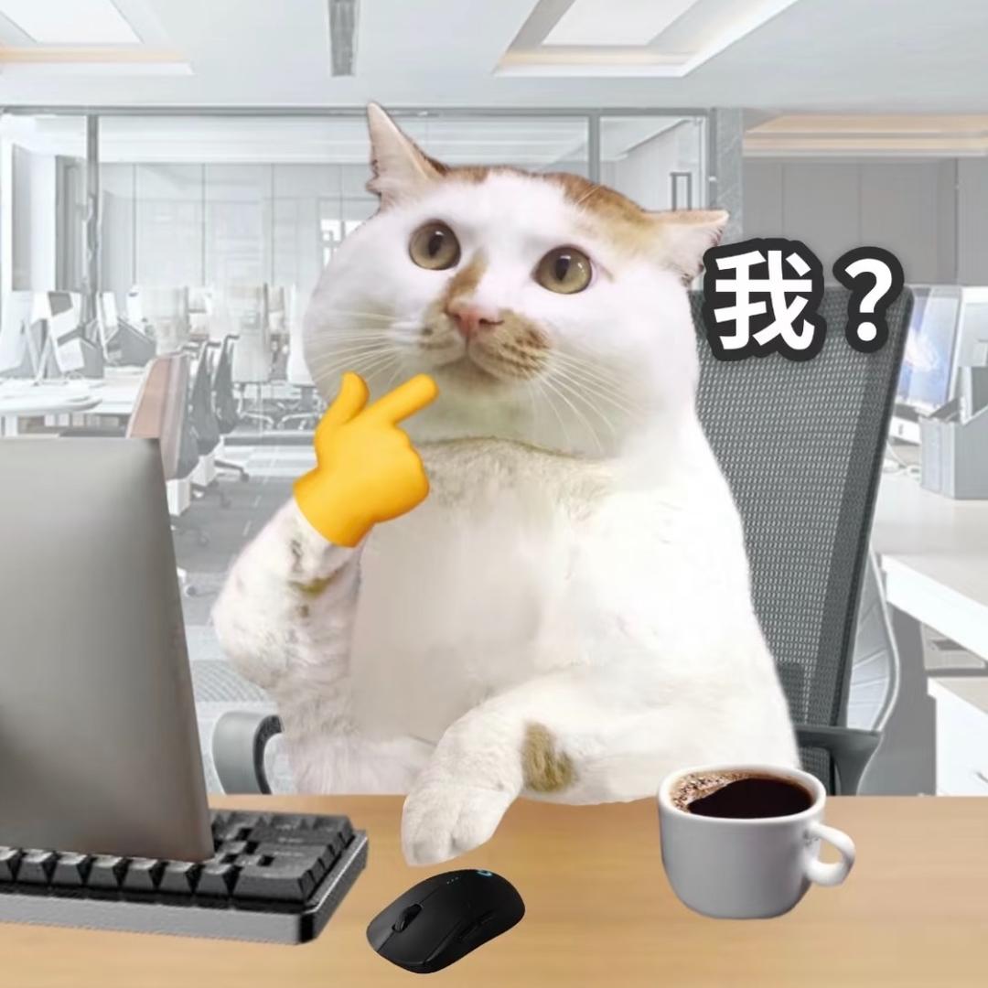 妍姐打工记