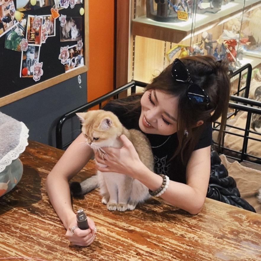 小猫崽子儿（狂更版）