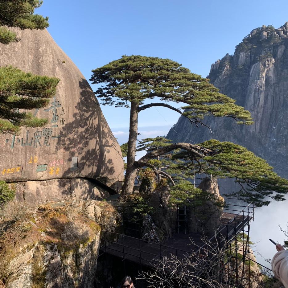 豫南玉米老王