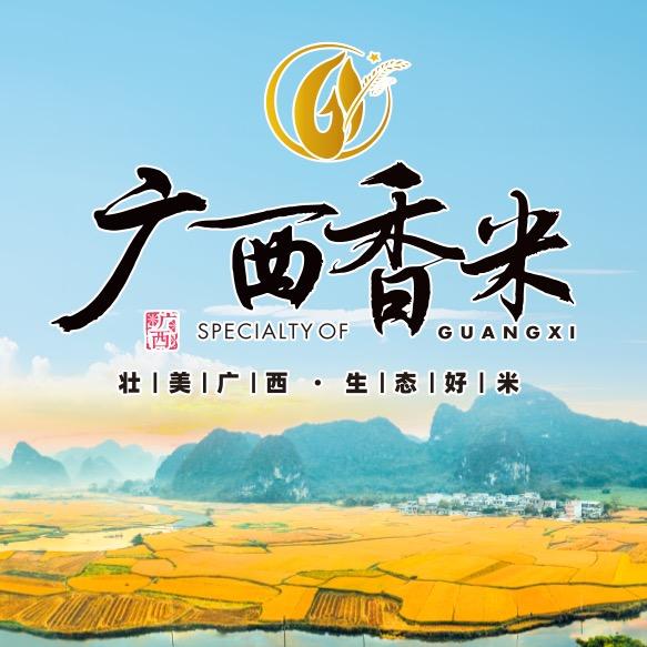 广西香米企业店