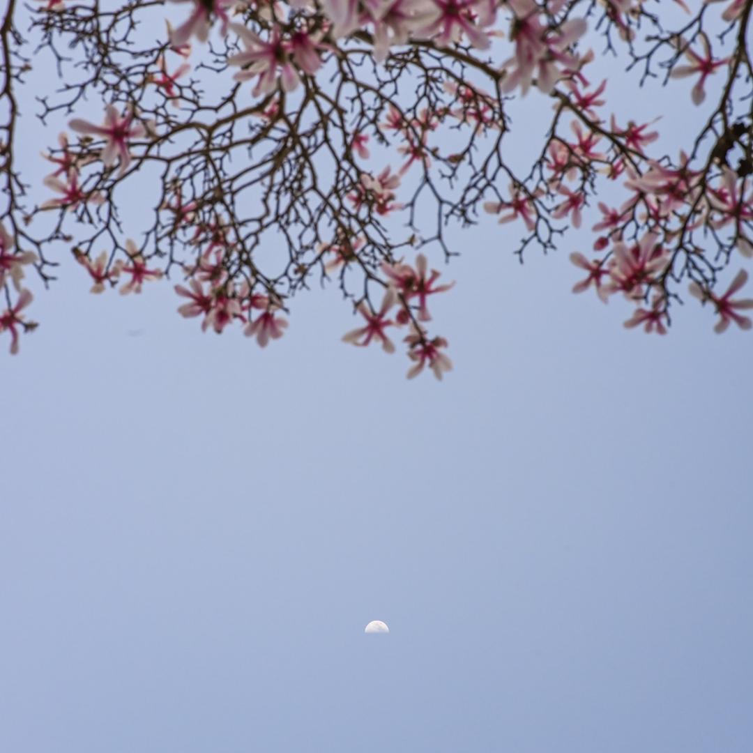 京口打工人