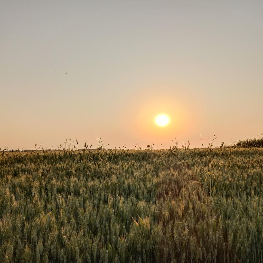 ♥麦兜♥(超市生鲜课)