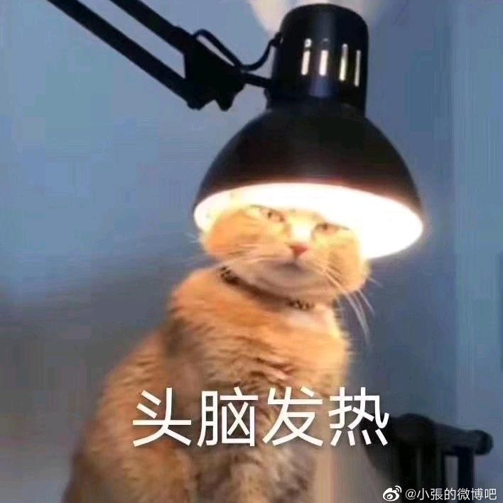叫孜然好了