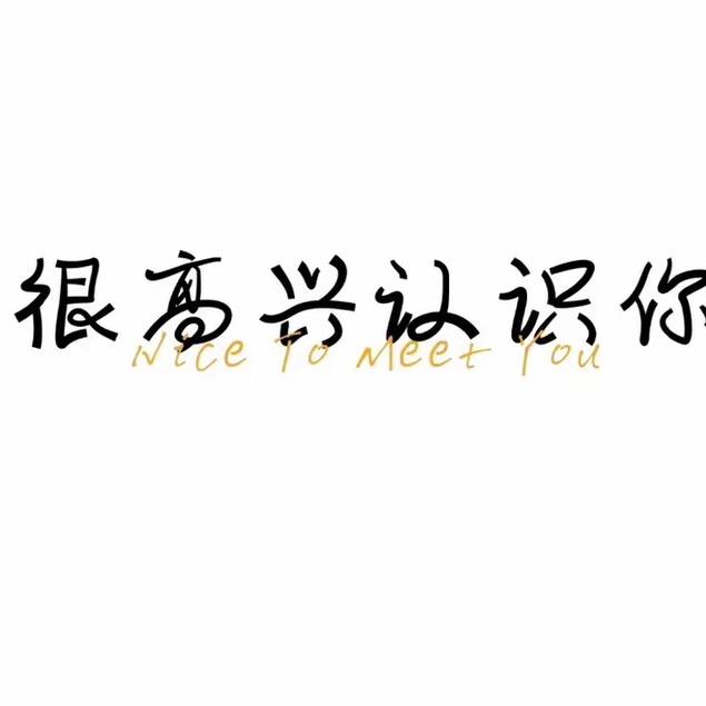 实时路况NPc