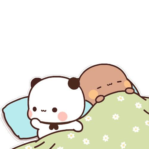 一二最爱布布
