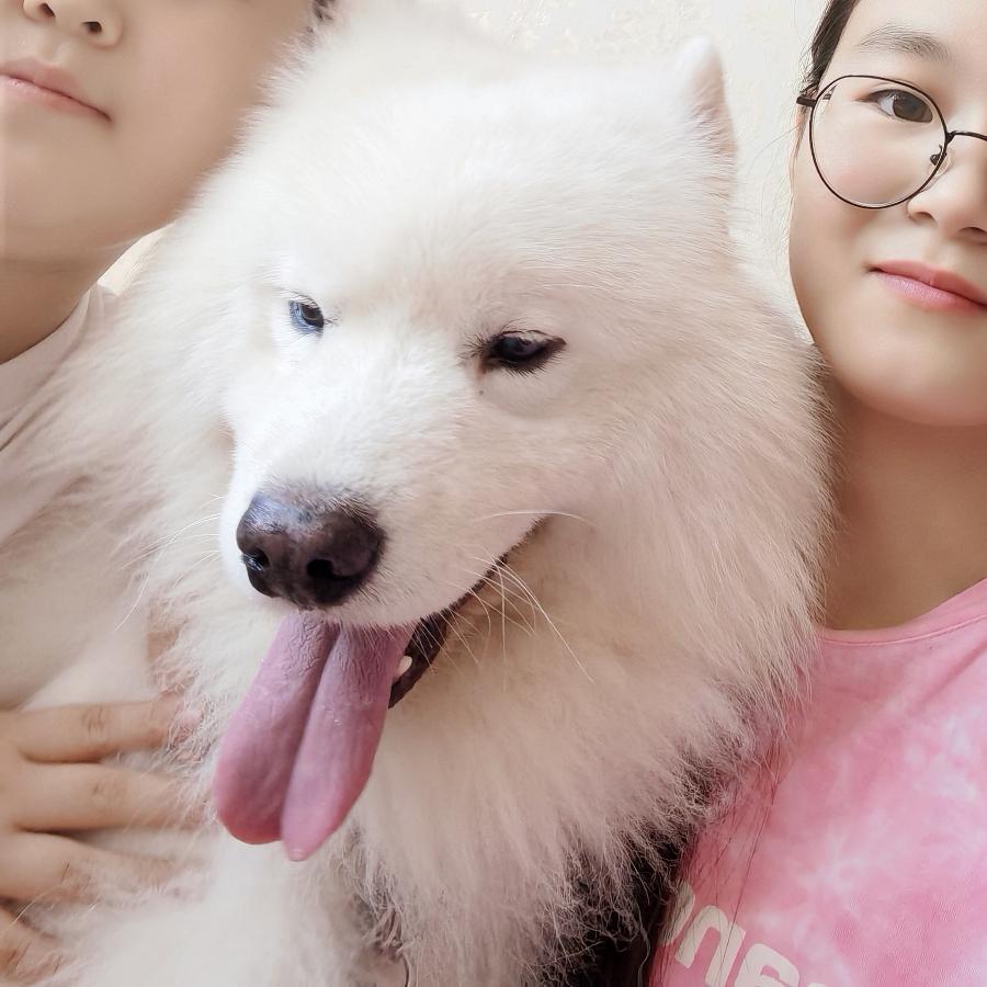 浩浩脆皮炸糕+收学员