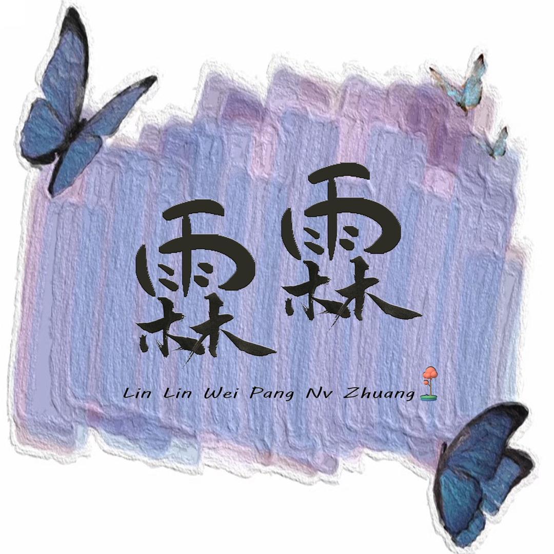 霖霖家网红微胖大码女装