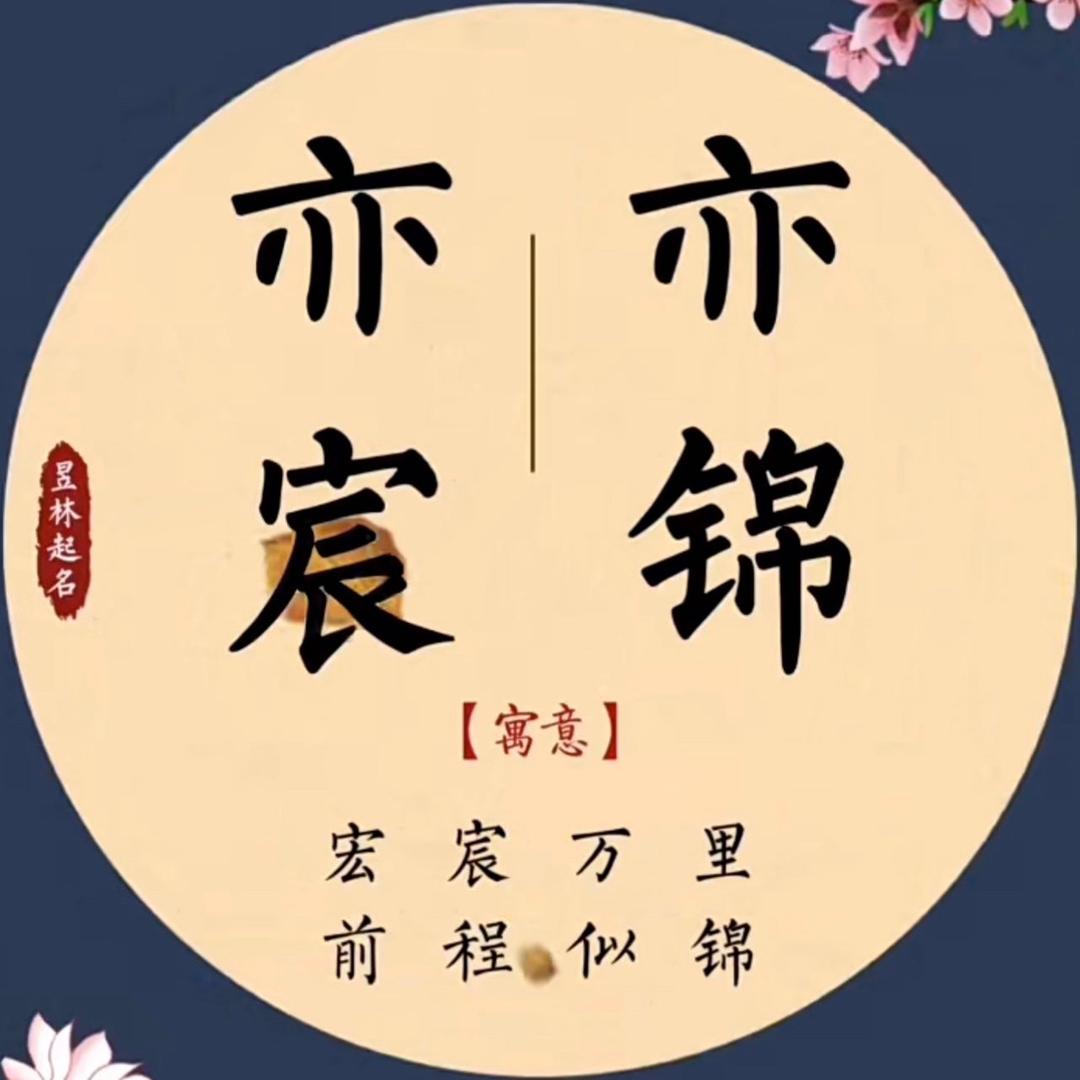 双胞胎亦宸亦锦