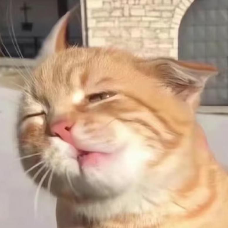 大橘yyyyyy