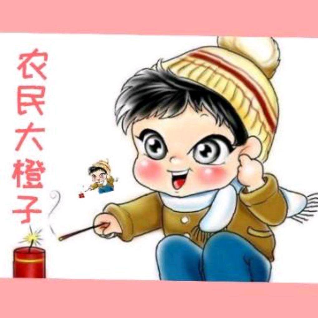 农民大橙子
