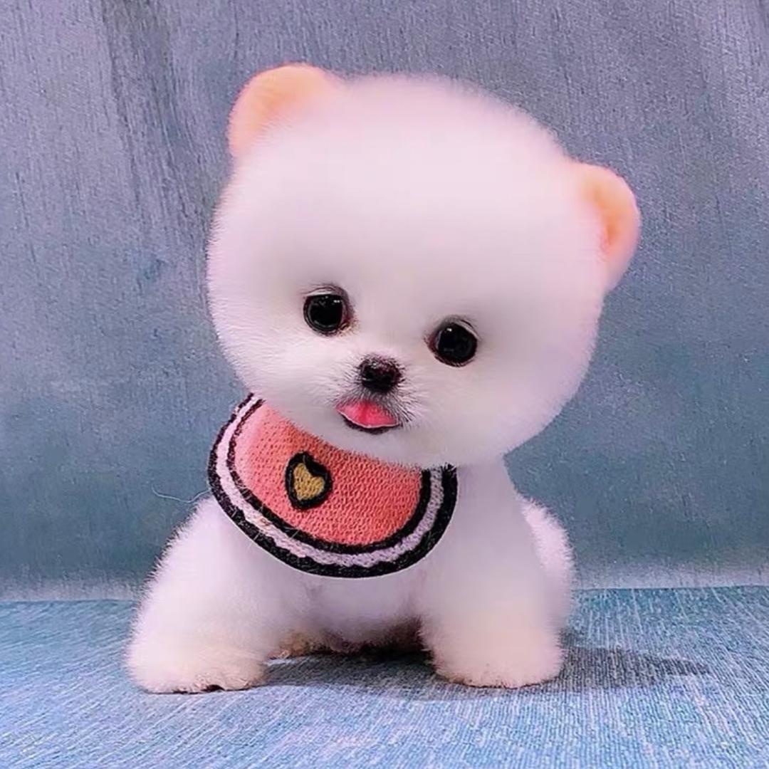 我是小五