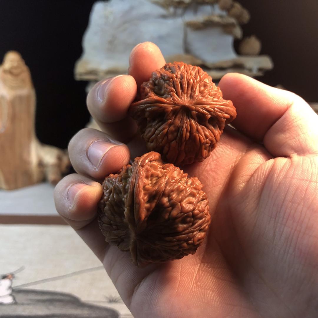 核桃周秀芹