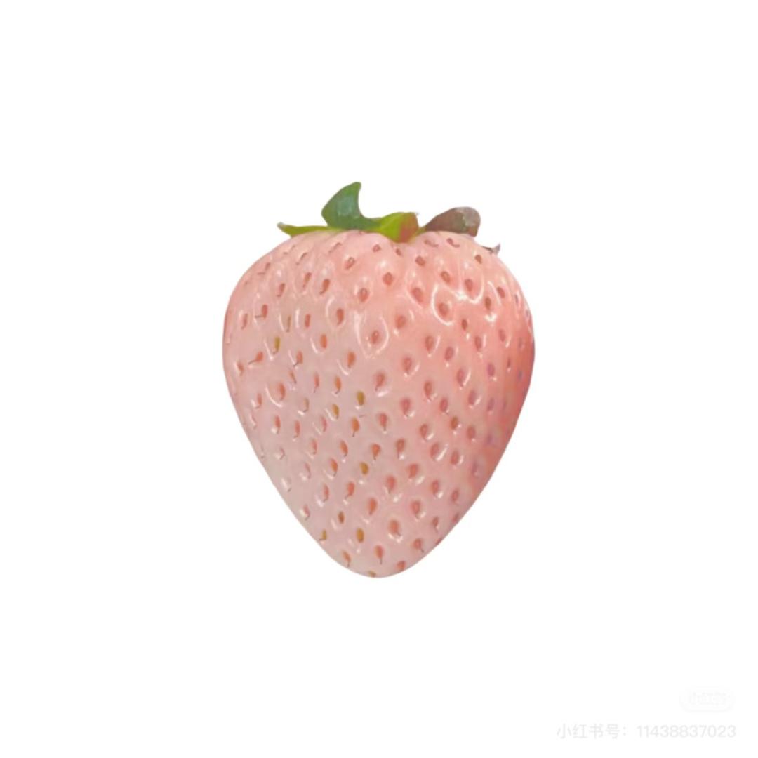 我是萝卜头