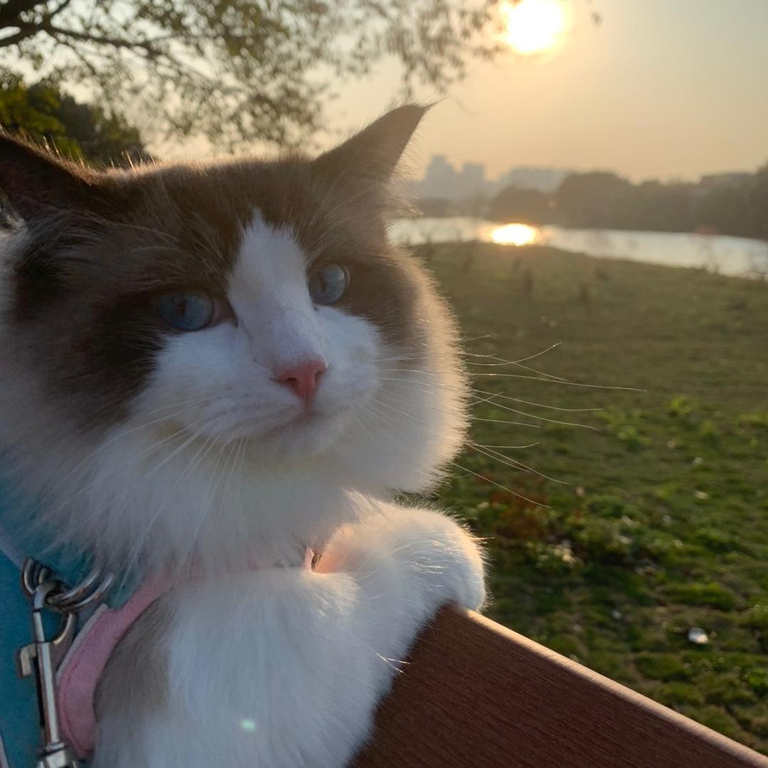 十七哆哆-（穿戴甲版