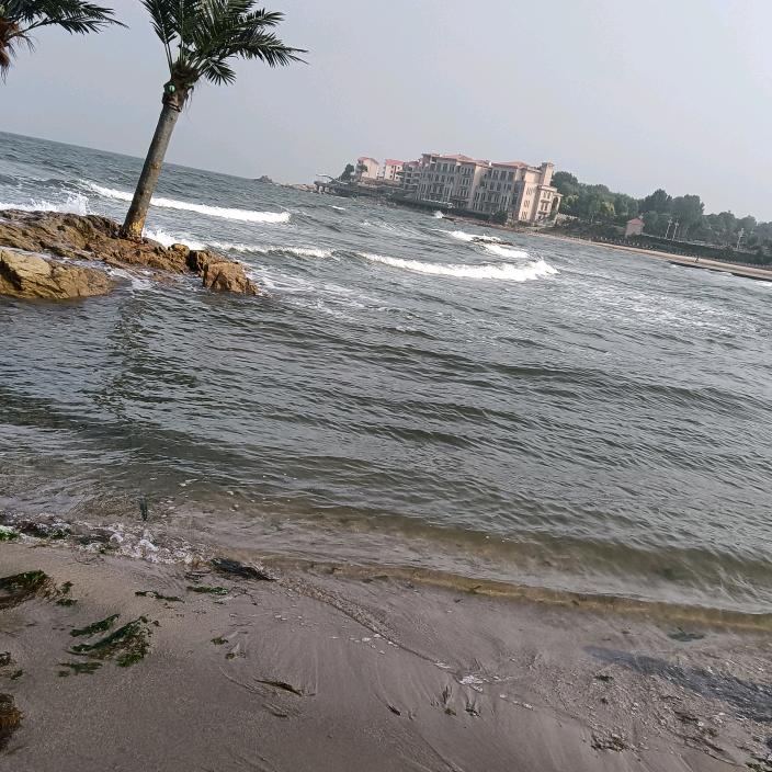 用户4893244837544刘姐