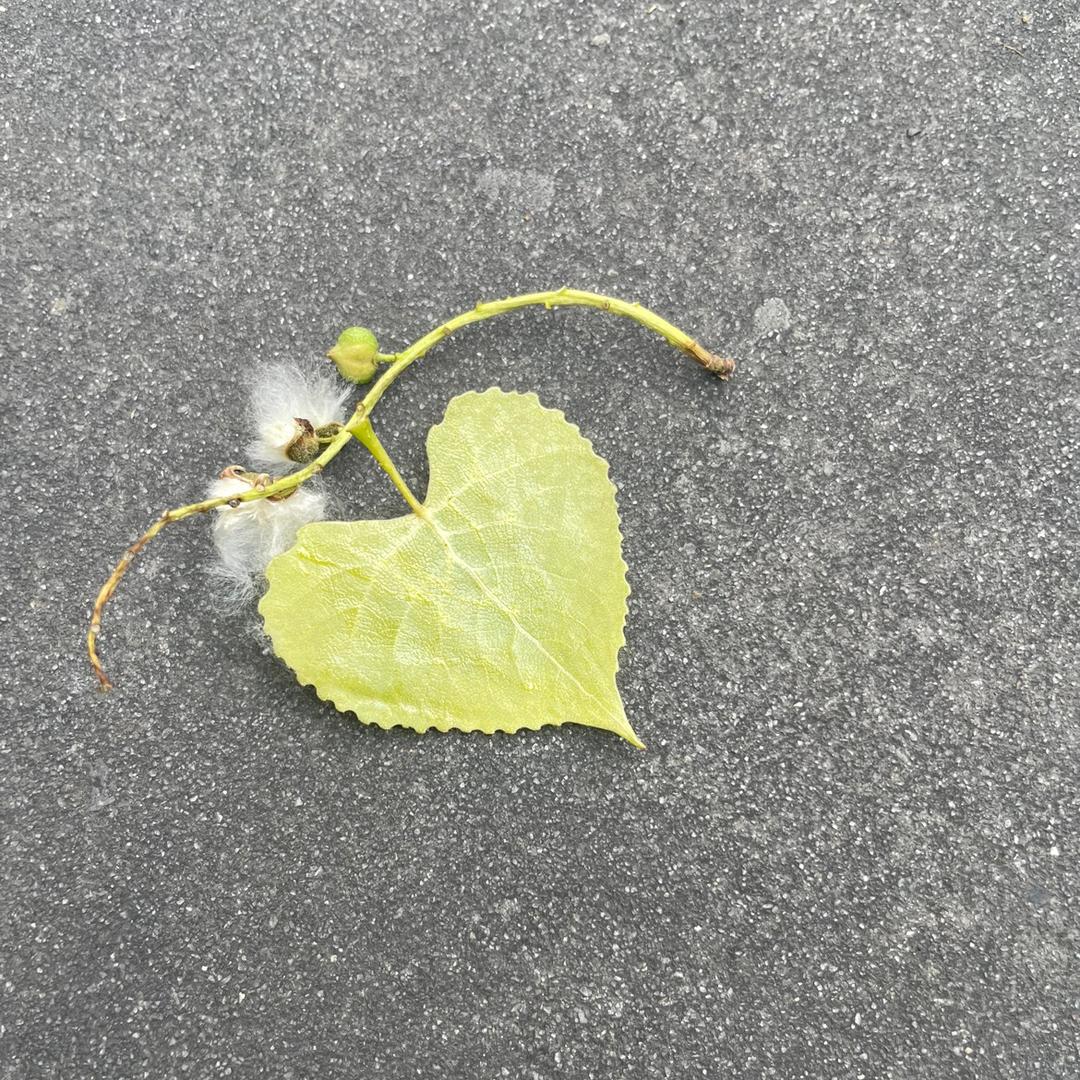 王闹闹闹闹闹闹闹闹