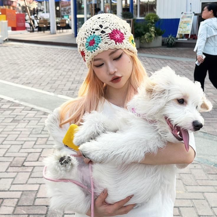 狗姐