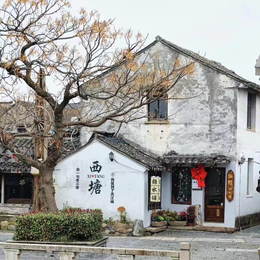 百鬼摸金