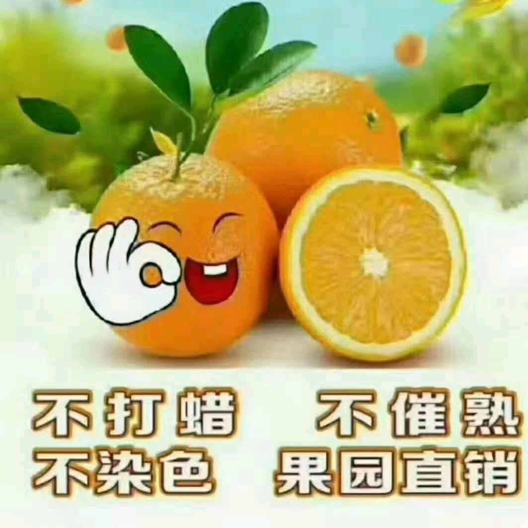 农家橙园鲜果店