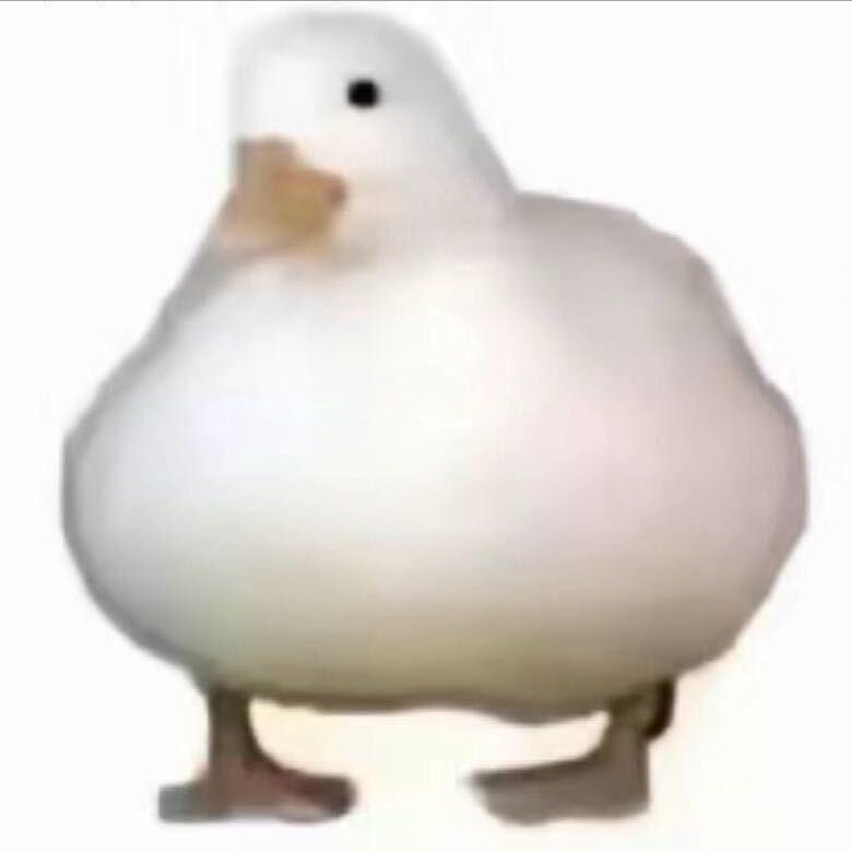 蛋卷