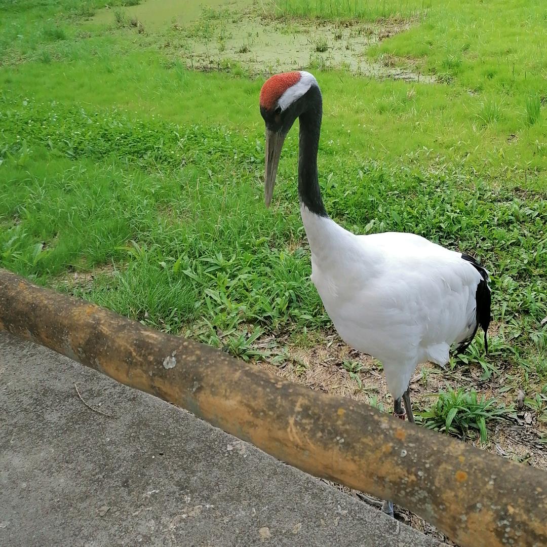 手机用户80063107008