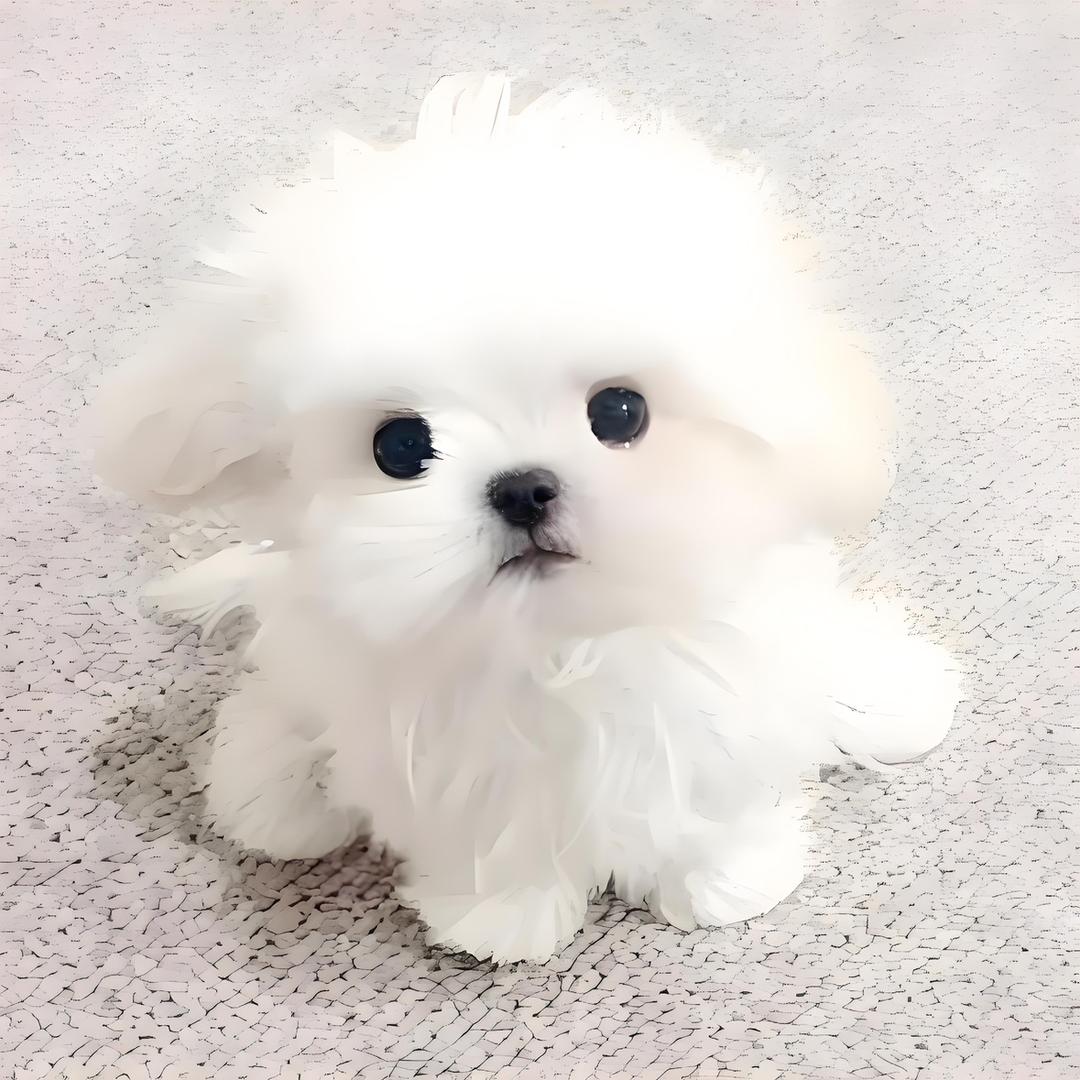 小鹿桃桃