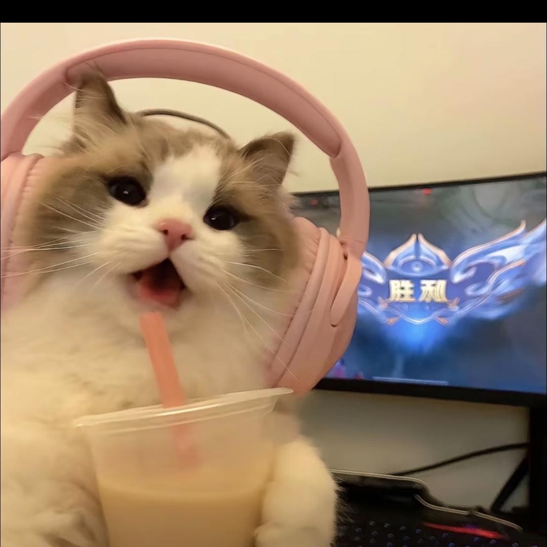 洋芋不洋（和平精英）