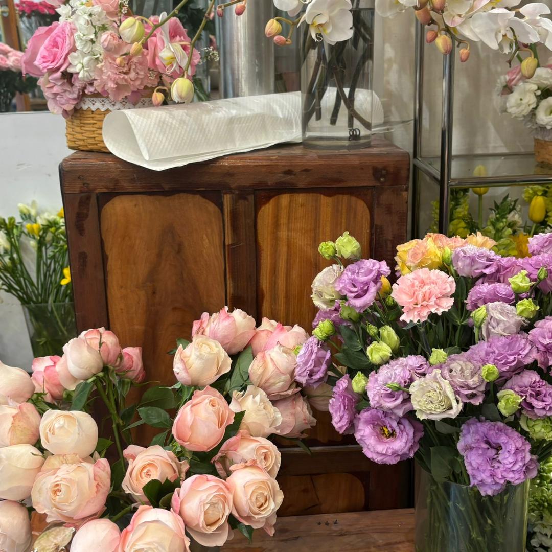 公旭杨壮453453号