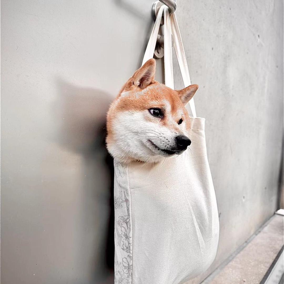 阿呆