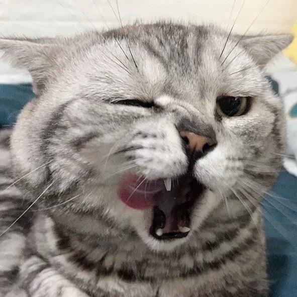 我不叫伞贝宁了