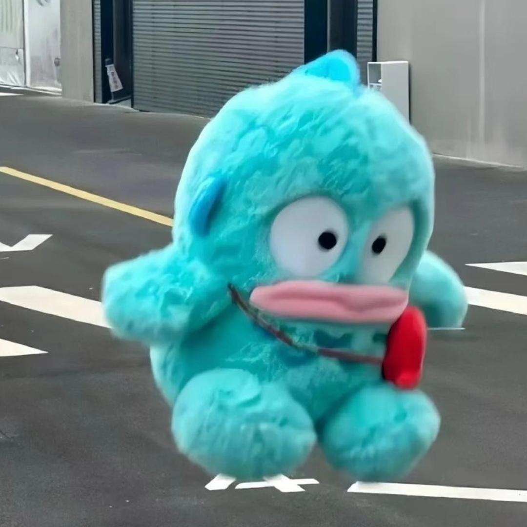 加勒比海带卖海苔