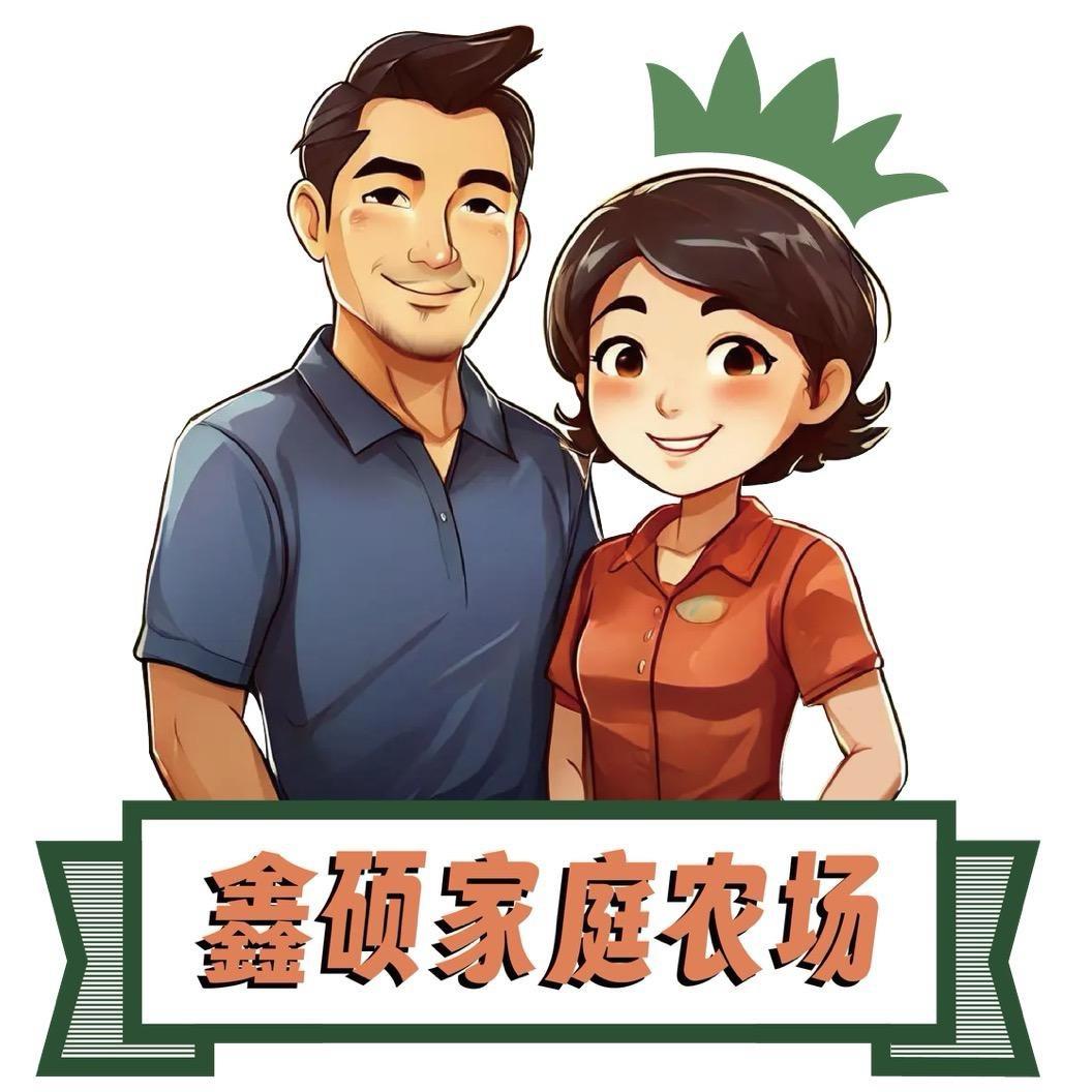 大连鑫硕草莓蓝莓生态农场