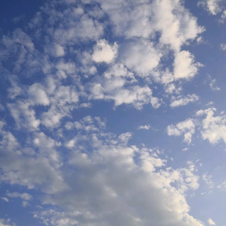 愤怒天蝎